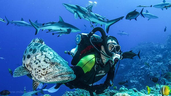 4-mike-ball-dive-expeditions-spoilsport-australia-ccr-cod NL