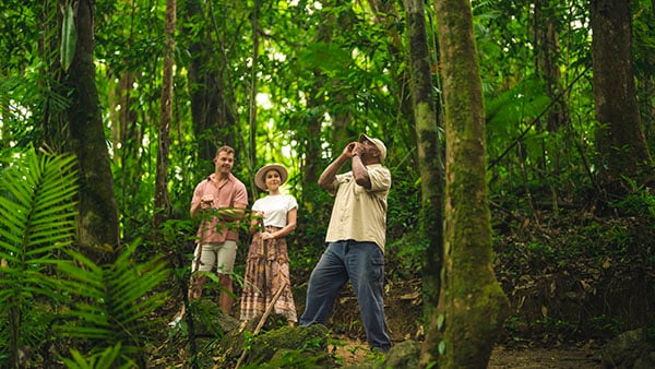 TEQ Mossman Gorge walking tour 151758-19 600