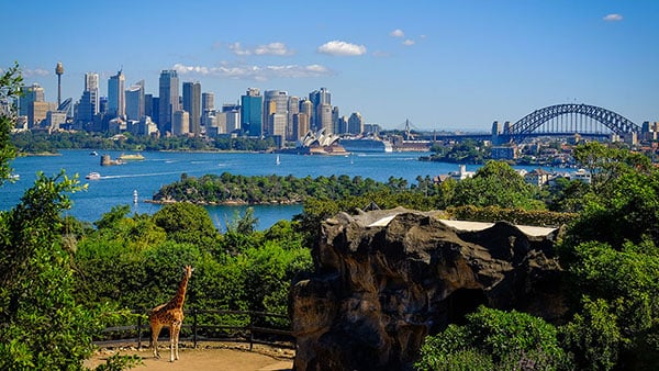 Taronga zoo shutterstock_656487244 NL