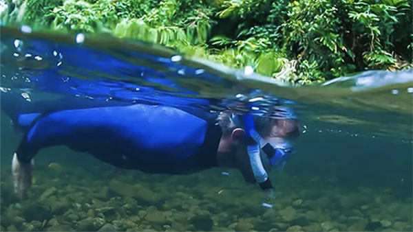 backcountry-bliss-rainforest-snorkel NL